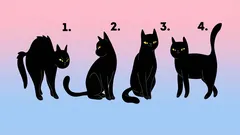 Psychologische test: kies een kat en ontdek hoe anderen jou zien