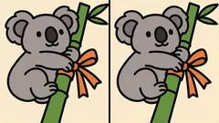 Puzzel voor de meest oplettenden: vind jij 3 verschillen op de koala-afbeelding in 33 seconden?
