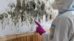 Dit huismiddeltje doodt schimmel binnen een uur: ideaal voor de badkamer en muren